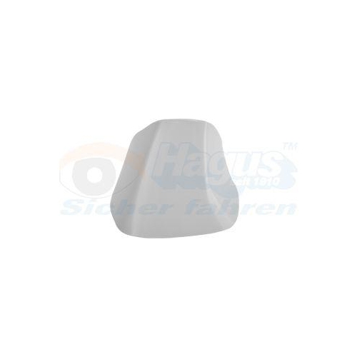 VAN WEZEL Abdeckung, Au&szlig;enspiegel * HAGUS * 3872845