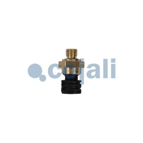 COJALI Sensor, &Ouml;ldruck 2262032
