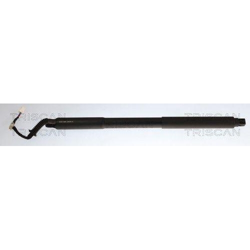 TRISCAN Gasfeder, Koffer-/Laderaum 8710 24307