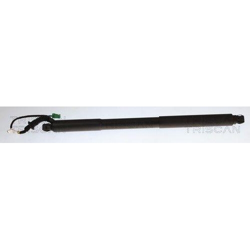 TRISCAN Gasfeder, Koffer-/Laderaum 8710 24308