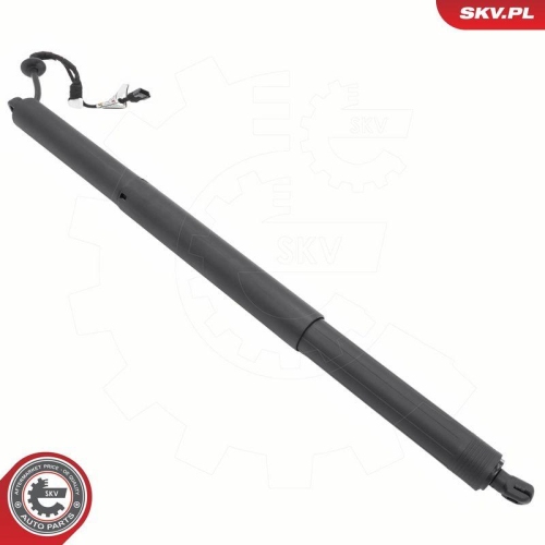 ESEN SKV Elektromotor, Heckklappe 52SKV973