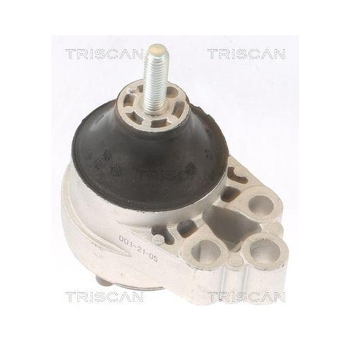 TRISCAN Lagerung, Motor 8505 16120
