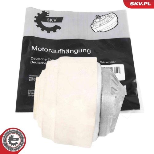 ESEN SKV Lagerung, Motor