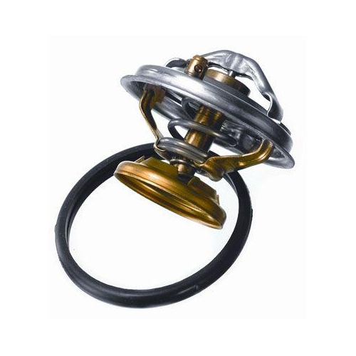 BorgWarner (Wahler) Thermostat, Kühlmittel