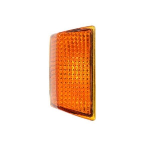 TRUCKLIGHT Blinkleuchte CL-VO001R