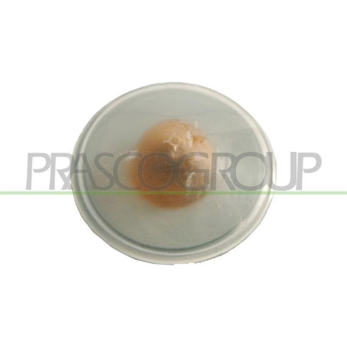 PRASCO Blinkleuchte FT1334139