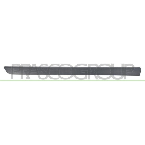 PRASCO Zier-/Schutzleiste, T&uuml;r RN4221404