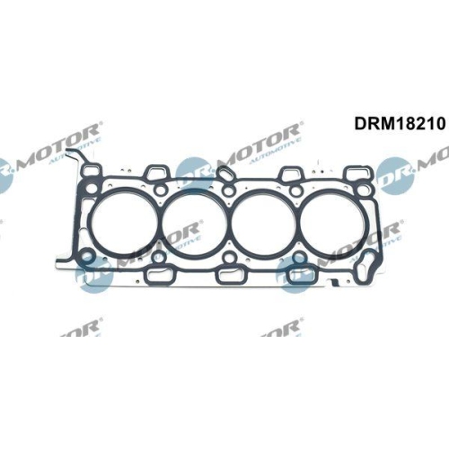Dr.Motor Automotive Dichtung, Zylinderkopf DRM18210