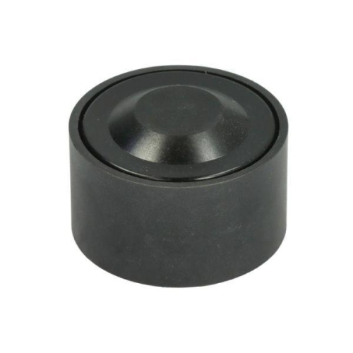 BTA Umlenk-/F&uuml;hrungsrolle, Keilrippenriemen E2M0051BTA