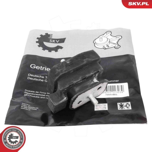 ESEN SKV Lagerung, Schaltgetriebe