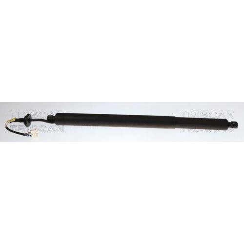 TRISCAN Gasfeder, Koffer-/Laderaum 8710 25303