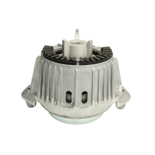 REINHOCH Lagerung, Motor RH11-3034