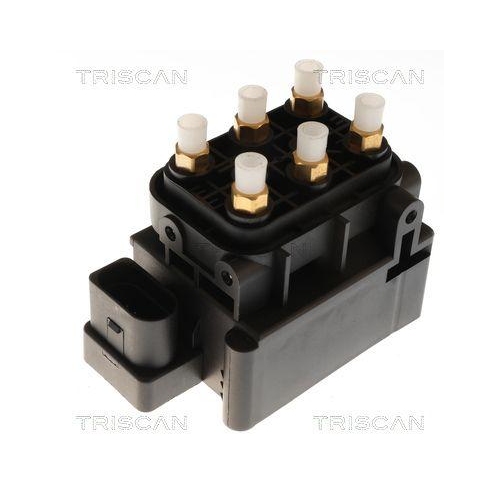 TRISCAN Kompressor, Druckluftanlage