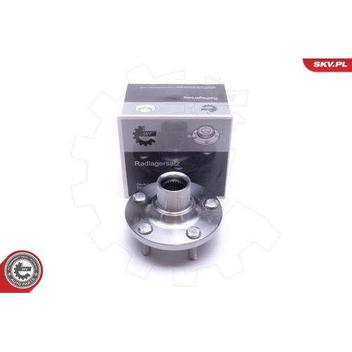 ESEN SKV Radlagersatz