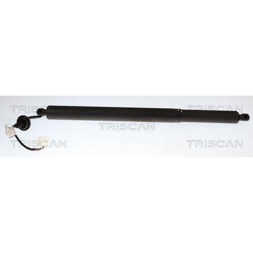 TRISCAN Gasfeder, Koffer-/Laderaum 8710 25304
