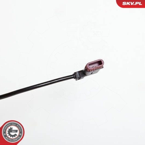 ESEN SKV Sensor, Raddrehzahl 06SKV138