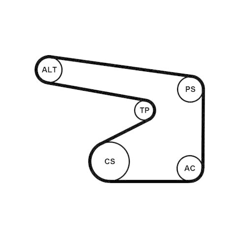 CONTINENTAL CTAM Wasserpumpe + Keilrippenriemensatz 5PK1355WP4