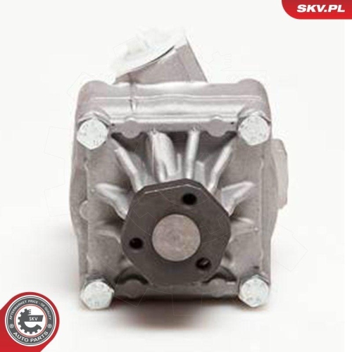 ESEN SKV Hydraulikpumpe, Lenkung 10SKV017