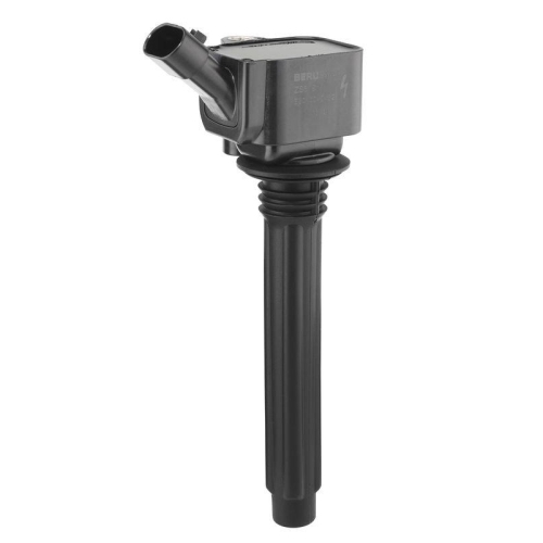 BorgWarner (BERU) Z&uuml;ndspule ZS619