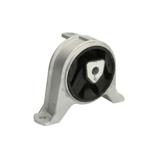 REINHOCH Lagerung, Motor RH11-5013