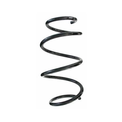 SPIDAN Fahrwerksfeder 87302