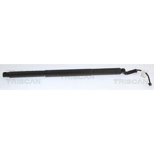 TRISCAN Gasfeder, Koffer-/Laderaum 8710 27320