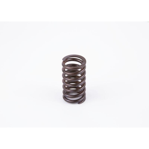 BOSCH Feder 2 434 614 017
