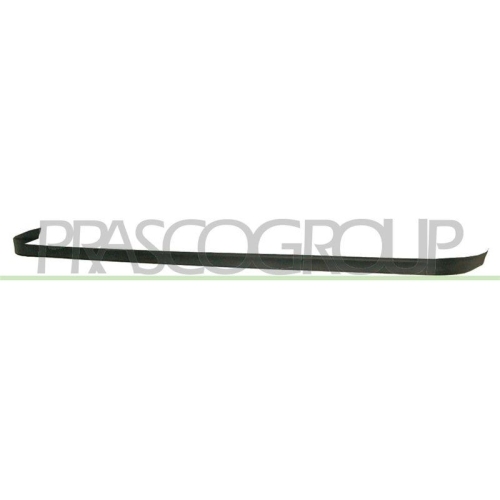 PRASCO Spoiler Premium FT4201801