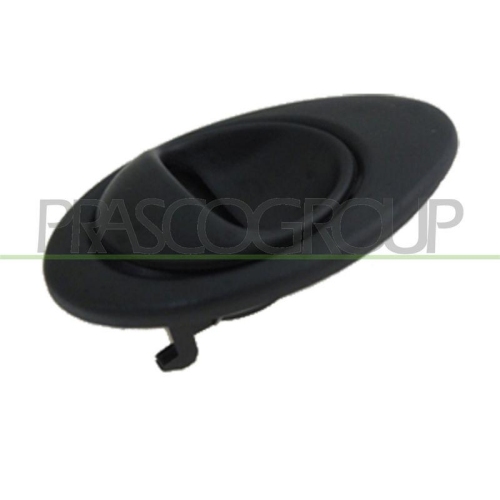 PRASCO T&uuml;rgriff, Innenausstattung DW3248601