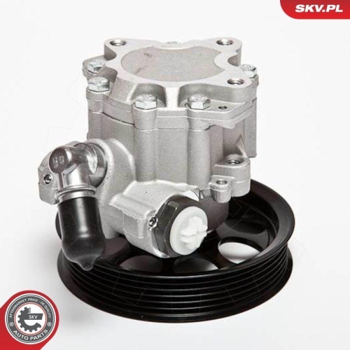 ESEN SKV Hydraulikpumpe, Lenkung 10SKV070