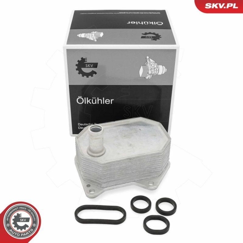 ESEN SKV &Ouml;lk&uuml;hler, Motor&ouml;l 31SKV304