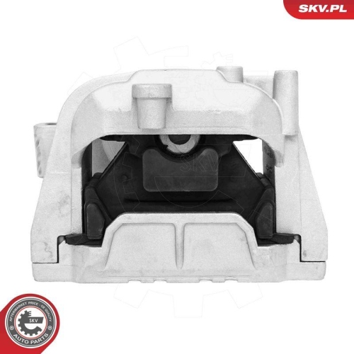 ESEN SKV Lagerung, Motor 75SKV253