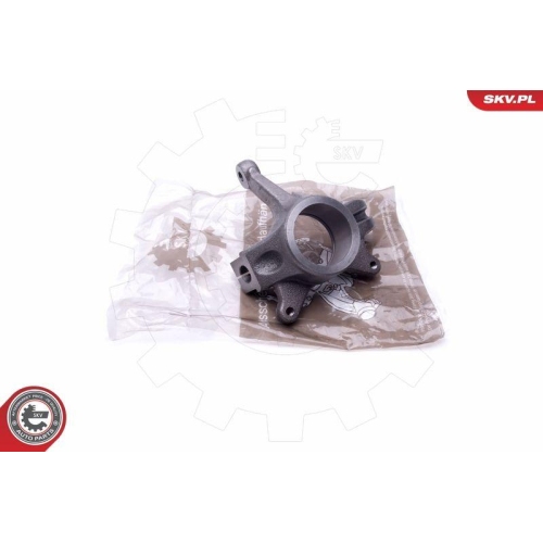 ESEN SKV Achsschenkel, Radaufh&auml;ngung