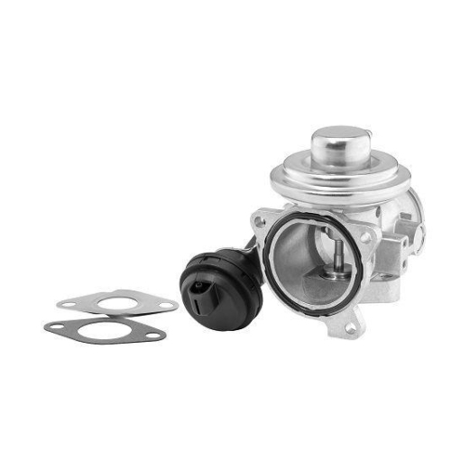 BorgWarner AGR-Ventil 7241D