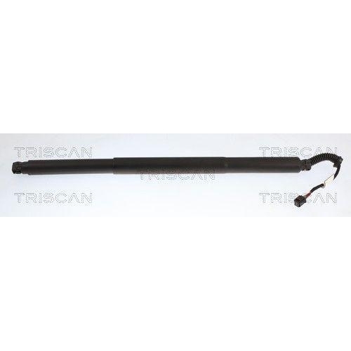 TRISCAN Gasfeder, Koffer-/Laderaum 8710 27321
