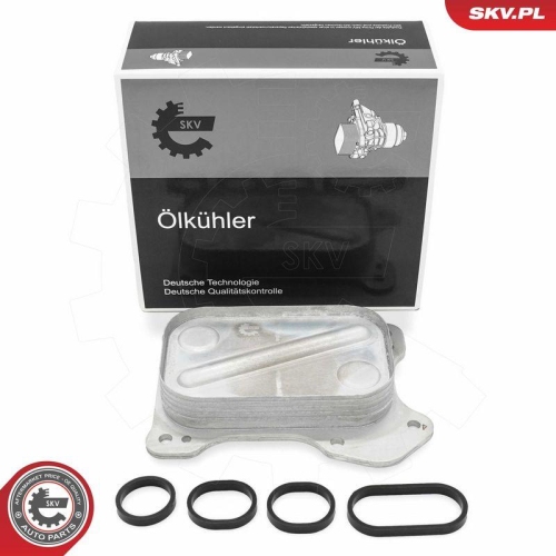ESEN SKV &Ouml;lk&uuml;hler, Motor&ouml;l 31SKV309