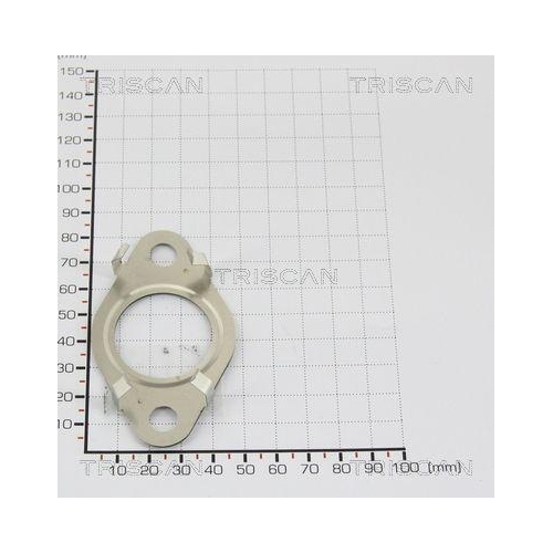 TRISCAN Dichtung 8813 9965