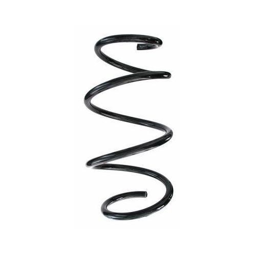 SPIDAN Fahrwerksfeder 87304