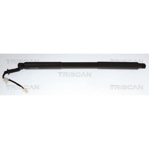 TRISCAN Gasfeder, Koffer-/Laderaum 8710 28305