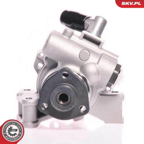 ESEN SKV Hydraulikpumpe, Lenkung 10SKV148