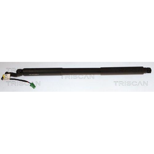 TRISCAN Gasfeder, Koffer-/Laderaum 8710 28306