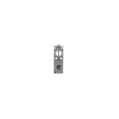 MAHLE Expansionsventil, Klimaanlage BEHR AVE 176 000S