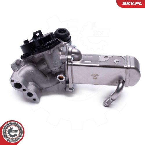 ESEN SKV AGR-Ventil 14SKV238