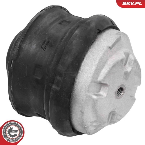 ESEN SKV Lagerung, Motor 75SKV002