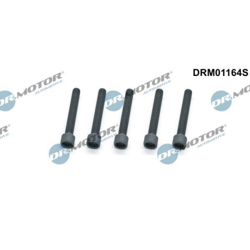 Dr.Motor Automotive Schraube, Einspritzd&uuml;senhalter DRM01164S