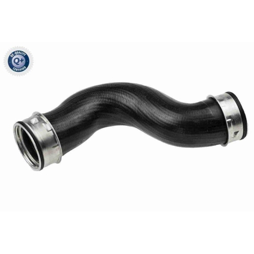 VAICO Ladeluftschlauch Q+, Erstausrüsterqualität V10-4380