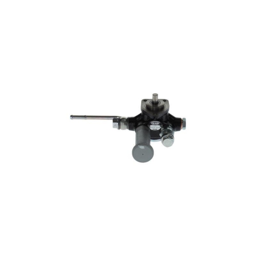 BOSCH Kraftstoffpumpe 9 440 610 289