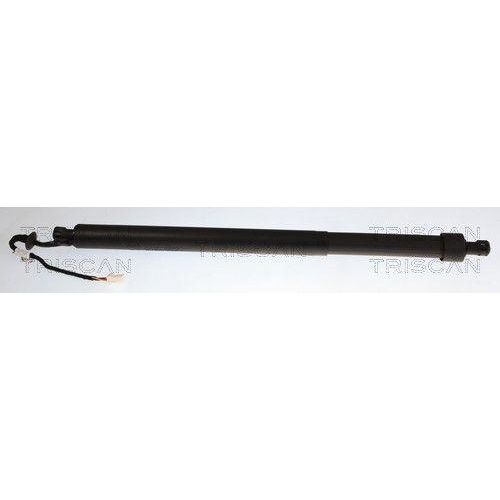 TRISCAN Gasfeder, Koffer-/Laderaum 8710 28309