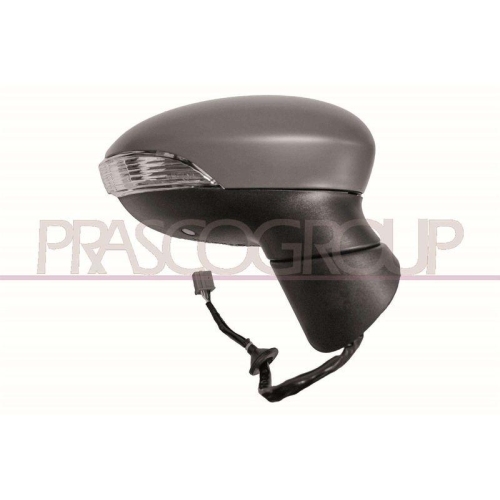 PRASCO Au&szlig;enspiegel Premium FD3467343P