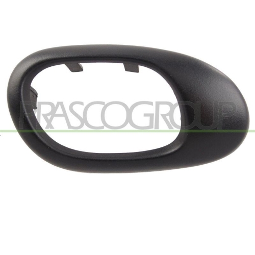 PRASCO T&uuml;rgriff, Innenausstattung PG0098701